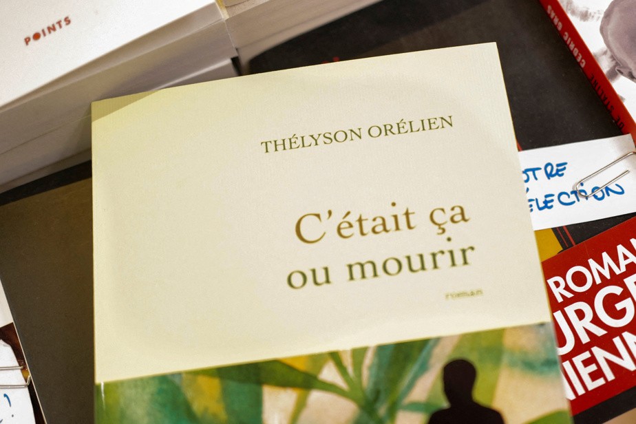 L'IA s'installe dans nos livres, nos écrans et nos playlists : et après?