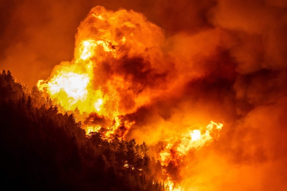 Incendie dévastateur en Croatie : 40 blessés et des milliers de touristes évacués