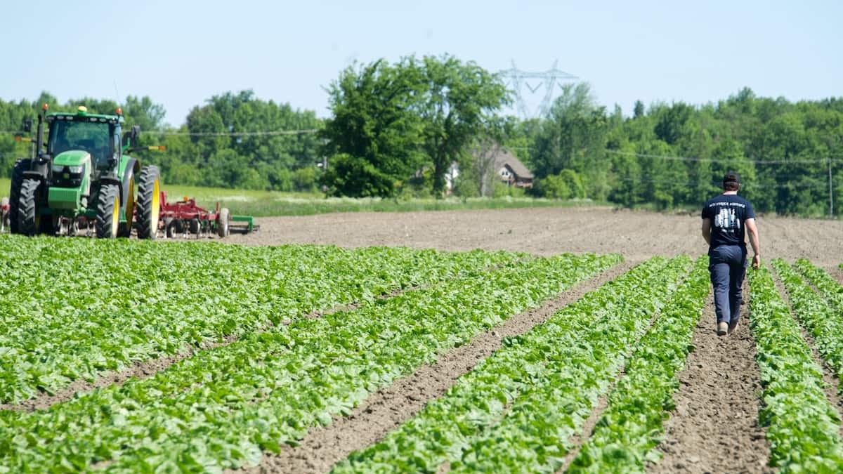 La voix des régions s'éteindra si on continue de l'ignorer