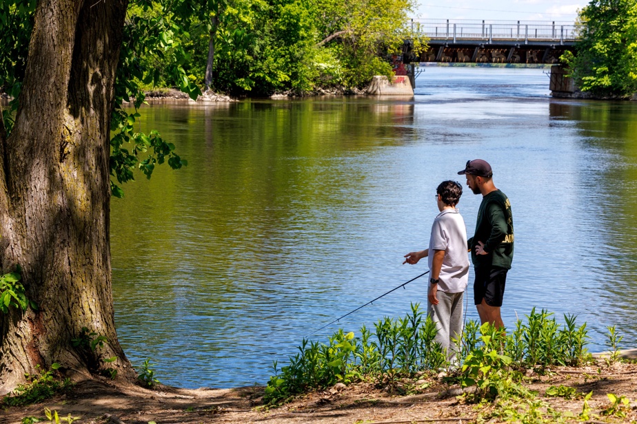 À Montréal, on pêche en cours d'éducation physique