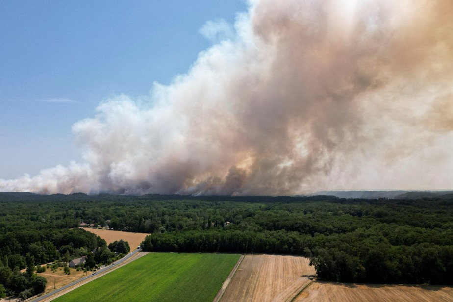Fontainebleau en flammes : un incendie «hors norme» ravage le poumon vert de Paris