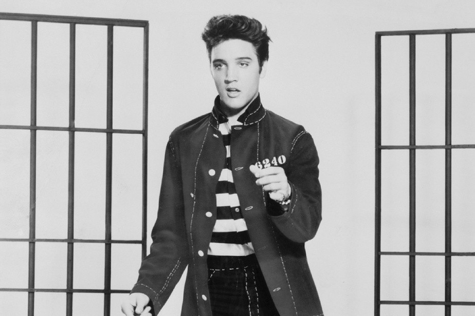 Elvis contre l'IA : Anthropic poursuivi pour 41 millions